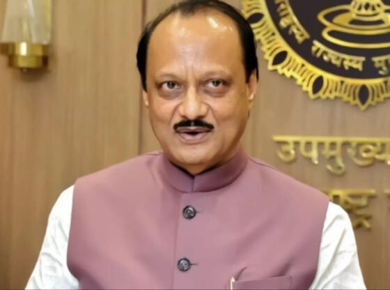 'चुनावों के दौरान किए गए वादे हमेशा सीधे कार्यों में अनुवाद नहीं करते हैं': महा डिप्टी सीएम अजीत पवार फसल ऋण छूट पर | भारत समाचार