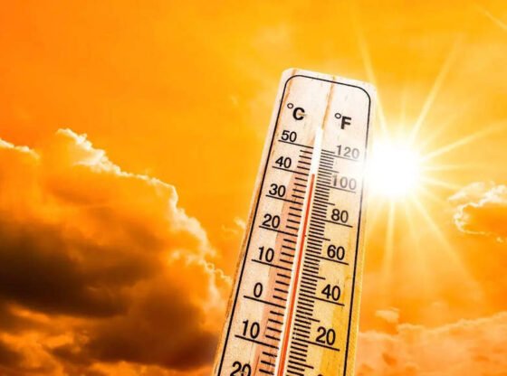 इंटेंस समर के लिए भारत ब्रेसिज़: कई राज्यों में दोगुना करने के लिए हीटवेव डेज़, IMD कहते हैं भारत समाचार