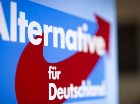 जर्मनी के AFD ने रिकॉर्ड पोल नंबरों - आरटी वर्ल्ड न्यूज़ को हिट किया