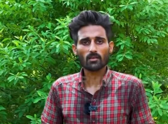पंजाब में एक बढ़ती प्रवृत्ति: सैंडलवुड फार्मिंग एक 'फिक्स्ड डिपॉजिट' की तरह सुरक्षित भविष्य प्रदान करता है चंडीगढ़ समाचार