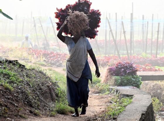 एक लाख महिला किसानों को ज़ूनोटिक रोगों के प्रबंधन पर प्रशिक्षण मिलता है