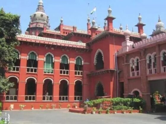 यदि आप तमिलनाडु सरकार की नौकरी में काम करना चाहते हैं, तो जानें कि कैसे बोलना है, पढ़ें तमिल, नियम मद्रास उच्च न्यायालय
