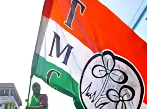बीजेपी ने टीएमसी एमपीएस के स्पैट की कथित चैट जारी की: 'बहुमुखी अंतर्राष्ट्रीय महिला कौन है? | भारत समाचार