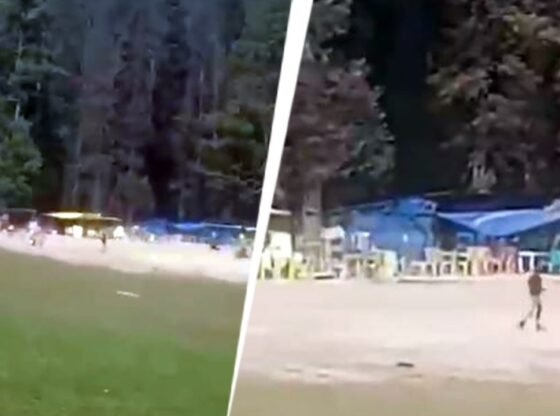 Pahalgam Terror अटैक: वीडियो में सटीक क्षण दिखाया गया है आतंकवादियों ने J & K में पर्यटकों पर हमला किया
