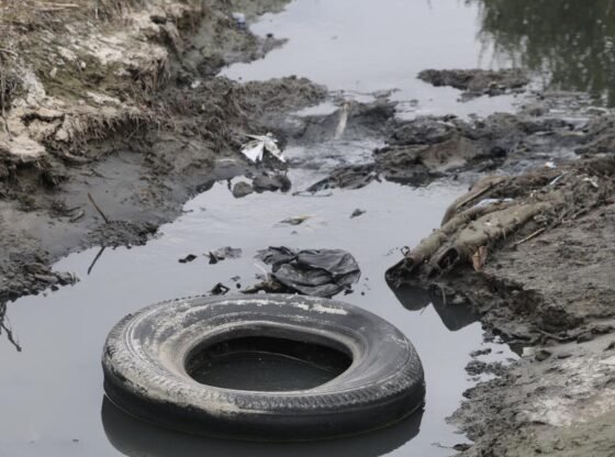 ईपीए प्रमुख ने मेक्सिको से आग्रह किया कि वे प्रदूषित तिजुआना नदी को साफ करने में मदद करें