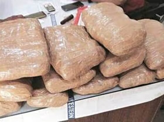 सीमा गांव में 4 किग्रा हेरोइन के साथ मां-बेटे की जोड़ी पकड़ी गई | चंडीगढ़ समाचार