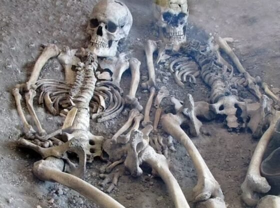 मास 'गैंगलैंड-शैली के निष्पादन' का चिलिंग सीक्रेट अंत में पता चला क्योंकि विशेषज्ञ 50 से अधिक लौह युग कंकाल का विश्लेषण करते हैं