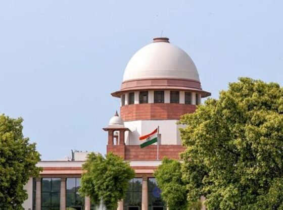 चंडीगढ़ विरासत की चिंता विकास को ओवरराइड नहीं कर सकती है: एससी बैक वेरांदा, एचसी में हरी पार्किंग | चंडीगढ़ समाचार