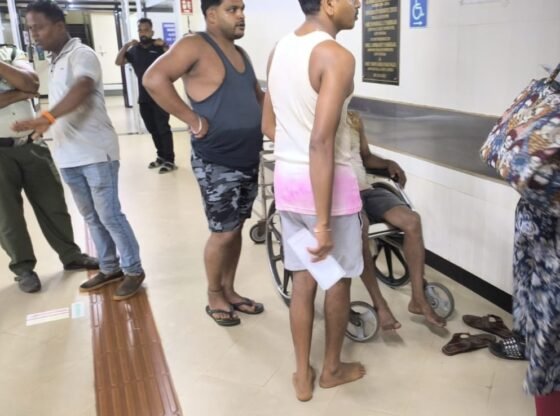 6 मारे गए, गोवा के शिरगांव मंदिर में स्टैम्पेड में 50 से अधिक घायल