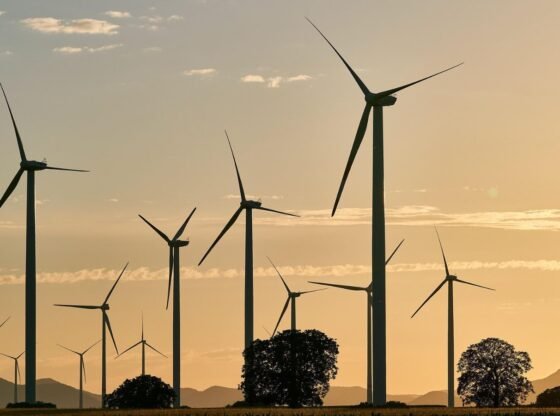 FY26 और FY27 में 75 GW नवीकरणीय को जोड़ने के लिए भारत, 3.8 लाख करोड़ रुपये का निवेश अपेक्षित है: क्रिसिल रेटिंग | व्यापारिक समाचार
