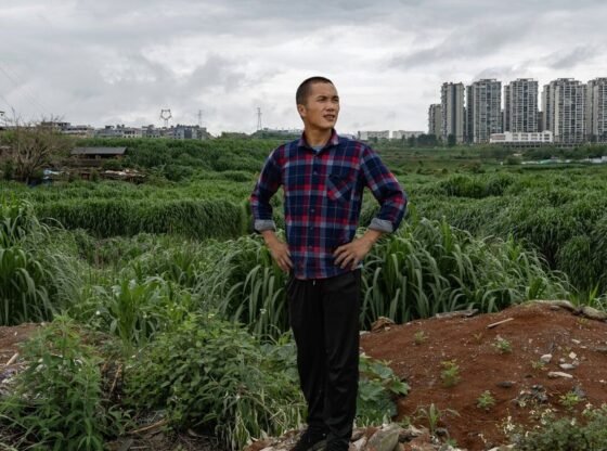 इसे फाड़ दो, उन्होंने कहा। वह बस निर्माण करता रहा