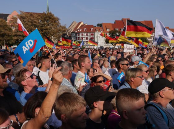 प्रवासियों पर रुख को नरम करने के लिए जर्मनी का AFD - Bild - RT वर्ल्ड न्यूज़