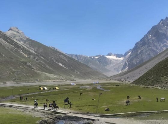 अमरनाथ यात्रा के लिए 7,200 तीर्थयात्रियों का ताजा बैच पत्तियां