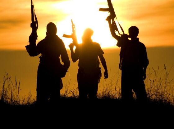 Pahalgam Terror अटैक: UNSC मॉनिटरिंग रिपोर्ट में TRF का उल्लेख है