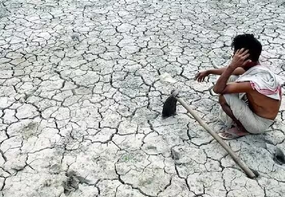 कर्नाटक ने 16 महीनों में 981 किसान आत्महत्याओं को रिकॉर्ड किया, भाजपा, कांग्रेस व्यापार को फार्म संकट, एमएसपी पर दोष, और बंद योजनाएं - कर्नाटक समाचार