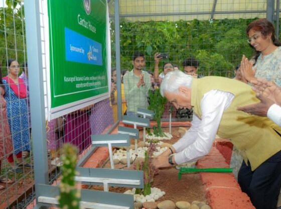 CUK अद्वितीय कैक्टि संग्रह का अनावरण करता है