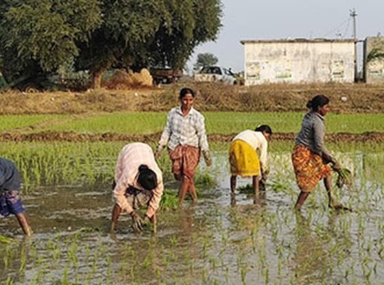 किसान समूहों द्वारा स्वागत किए गए किसानों के हितों की रक्षा पर पीएम का रुख