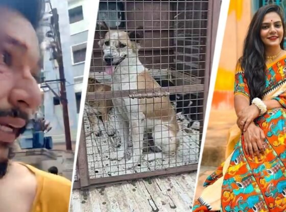 हैदराबाद की महिला ने आवारा कुत्तों को बचाने के लिए पीटा: आवारा कुत्ते की अफवाहें ईंधन हैदराबाद भीड़ हमले, पुलिस कथित रूप से शिकायत से इनकार करते हैं