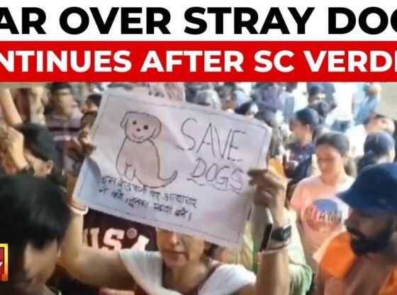 आवारा कुत्ते का हमला जारी है; कुत्तों की हैंडलिंग पर दिल्ली में विरोध प्रदर्शन
