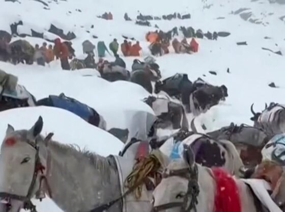 बर्फ़ीले तूफ़ान के कारण माउंट एवरेस्ट पर पैदल यात्री फंस गए और नेपाल में एक पर्वतारोही की मौत हो गई
