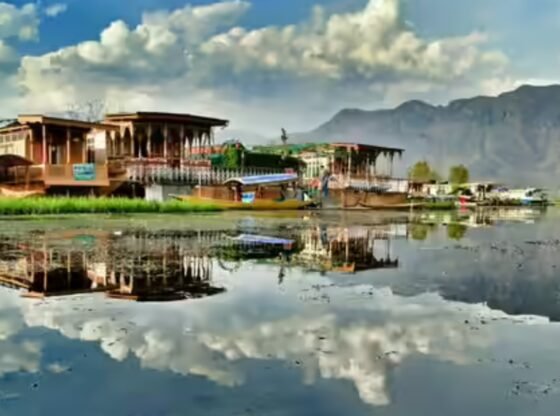 श्रीनगर क्लब ने अटारी को धूल चटाई, क्रिकेट इतिहास और राज-युग के कागजात स्टंप कीपर | भारत समाचार