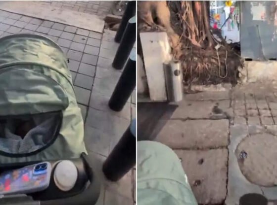 'पैदल यात्री माता-पिता होने की वास्तविकता': कनाडाई ने भारत में फुटपाथ की खराब स्थिति पर प्रकाश डाला; वीडियो हुआ वायरल | भारत समाचार