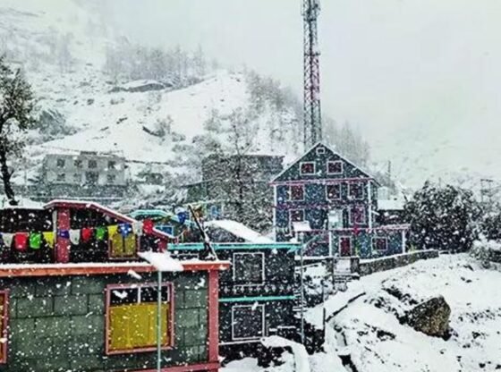 हिमाचल कांप उठा: ताजा बर्फबारी, बारिश के बाद पारा गिरा; 0° से नीचे टैबो | भारत समाचार