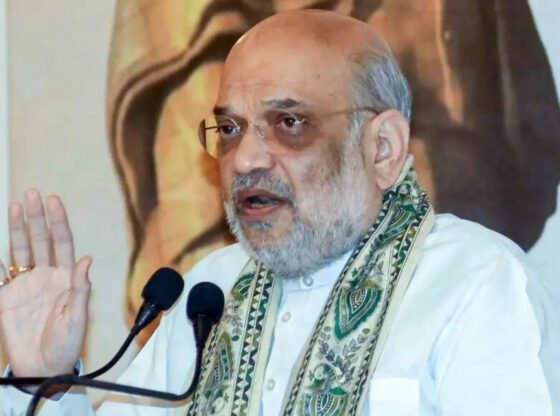 सरदार पटेल के धैर्य ने 562 रियासतों को एक राष्ट्र में एकीकृत किया; पीएम ने जम्मू-कश्मीर के पूर्ण एकीकरण का काम पूरा किया: गृह मंत्री अमित शाह | भारत समाचार