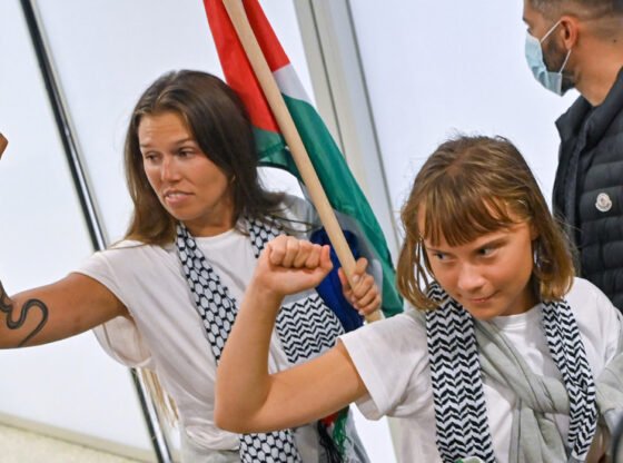 जेल में थुनबर्ग के एक्टिविस्ट पाल बिट मेडिसिन - इज़राइली एमएफए - आरटी वर्ल्ड न्यूज