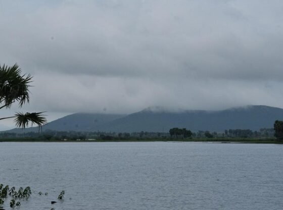तमिलनाडु में लगभग 2,000 सिंचाई टैंक 75% भंडारण से आगे जा रहे हैं