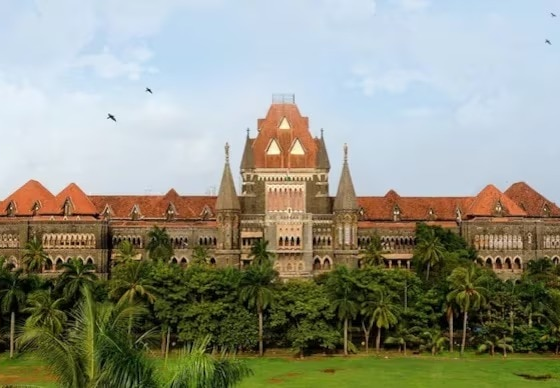 BCCI के घरेलू क्रिकेट प्रतिबंध को चुनौती देने वाले OCI कार्ड वाले खिलाड़ियों के लिए कोई कोर्ट राहत नहीं