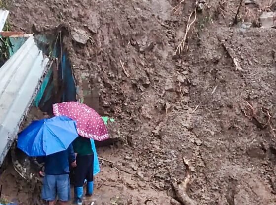 राष्ट्रपति ने मौत को 'संकट' कहा, ममता बनर्जी ने मुआवजे की घोषणा की