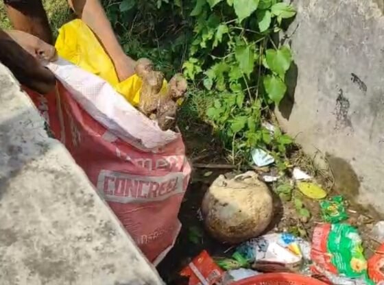 केरल के मलप्पुरम में इमारत की छत पर एक महीने पुराना मानव कंकाल मिला - केरल समाचार