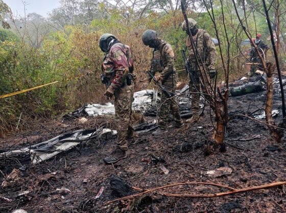 पर्यटकों को केन्या के मासाई मारा ले जाते समय विमान दुर्घटनाग्रस्त हो गया, जिसमें 11 लोगों की मौत हो गई