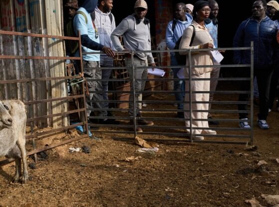 स्पेन में उपेक्षित और प्राचीन व्यापार को अफ्रीकी प्रवासियों से बढ़ावा मिलता है