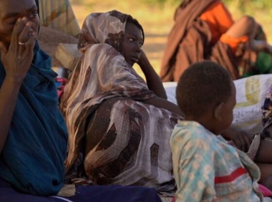 डब्ल्यूएचओ का कहना है कि दारफुर में अस्पताल पर मिलिशिया का हमला तेजी से हुआ