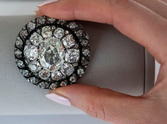 सोथबी का कहना है कि वॉटरलू से सेना के भाग जाने के दौरान नेपोलियन का खोया हुआ हीरे का ब्रोच 44 लाख डॉलर में बिका