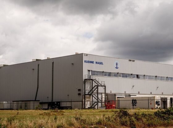 जैसा कि बेल्जियम यूएसएआईडी गर्भनिरोधक को बचाने के लिए दौड़ रहा है, कुछ आपूर्ति बर्बाद होने की सूचना है