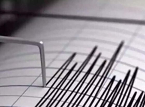 असम के दिमा हसाओ में 3.6 तीव्रता का भूकंप आया भारत समाचार