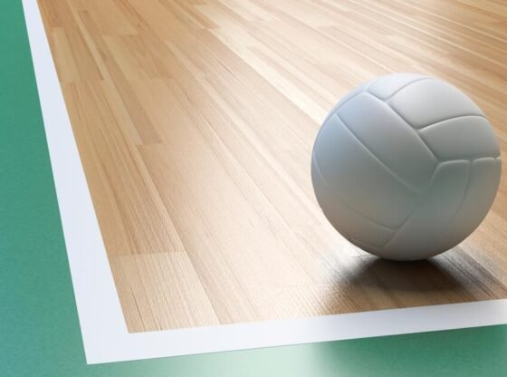 हाई स्कूल लड़कियों की वॉलीबॉल: CIF SoCal क्षेत्रीय प्लेऑफ़ परिणाम और जोड़ियां