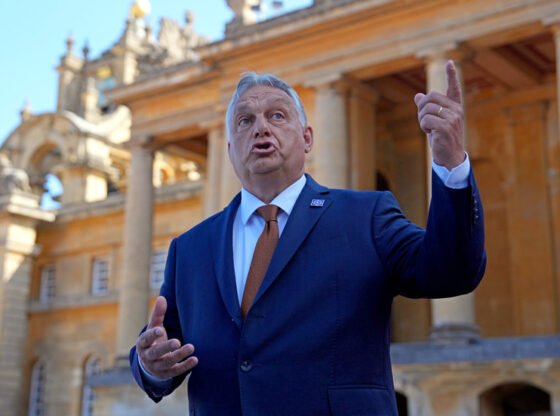 यूरोपीय संघ के सदस्य राज्य ने यूक्रेन के 'युद्ध माफिया' की आलोचना की - आरटी वर्ल्ड न्यूज़