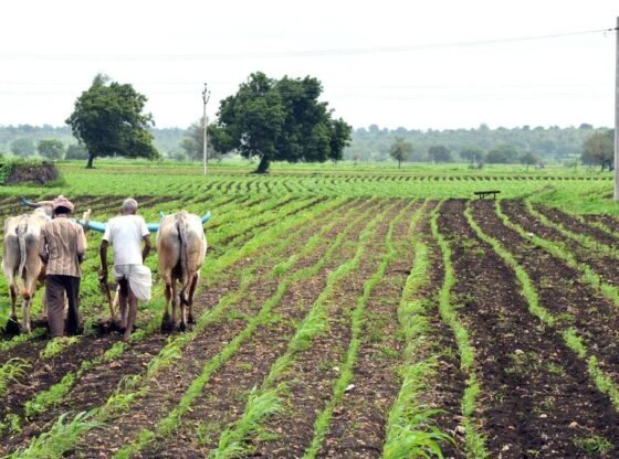 कर्नाटक के धारवाड़ जिले में ₹63.16 करोड़ फसल क्षति मुआवजा वितरित किया गया