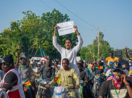 मंत्री का कहना है कि कैमरून में चुनाव के बाद हुई हिंसा के बाद बड़े पैमाने पर गिरफ्तारियां हुईं, जिसमें 16 लोग मारे गए