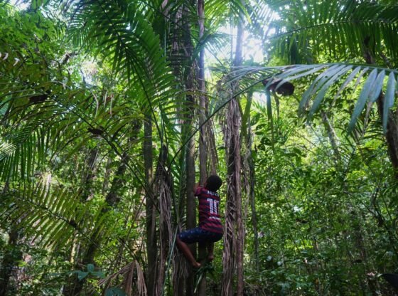 ब्राज़ील में गुलाम वंशजों के समुदाय क्षेत्रों की मान्यता की मांग करते हैं