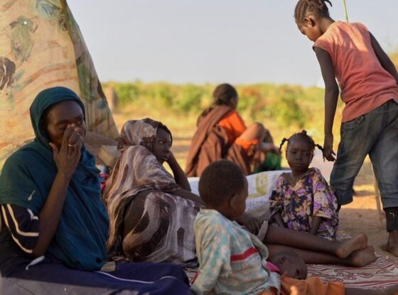 डब्ल्यूएचओ का कहना है कि दारफुर में अस्पताल पर मिलिशिया का हमला तेजी से हुआ