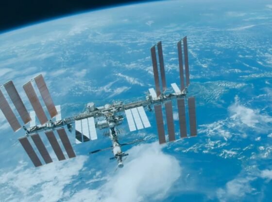 मॉस अंतरिक्ष में 9 महीने तक जीवित रहा, जिससे वैज्ञानिक आश्चर्यचकित रह गए और उम्मीद जगी कि मनुष्य मंगल ग्रह पर रह सकते हैं