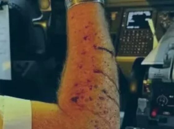 बोइंग 737 के कॉकपिट में गिरी रहस्यमयी वस्तु की पायलटों पर 36,000 फीट की ऊंचाई से कांच बरसाने के बाद आखिरकार पहचान हो गई