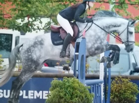 22 वर्षीय शोजंपर की अस्तबल में काम करते समय 'घोड़े द्वारा सिर में लात मारने' से मृत्यु हो जाती है