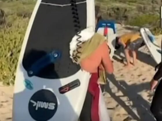 चौंकाने वाला क्षण, महान सफेद शार्क ने भयानक हमले में सर्फ़र को लहरों के नीचे खींच लिया और उसके बोर्ड से टुकड़ा छीन लिया