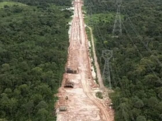 COP30 जलवायु शिखर सम्मेलन के लिए सड़क बनाने के लिए अमेज़ॅन में 100,000 पेड़ काटे जाने के बाद गुस्सा, ट्रम्प ने 'बड़े घोटाले' की निंदा की